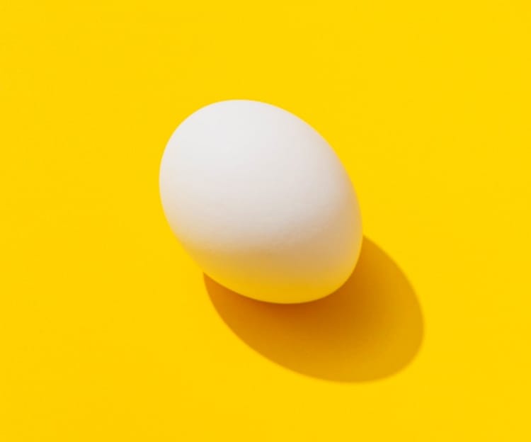 Picture of an egg on a yellow background